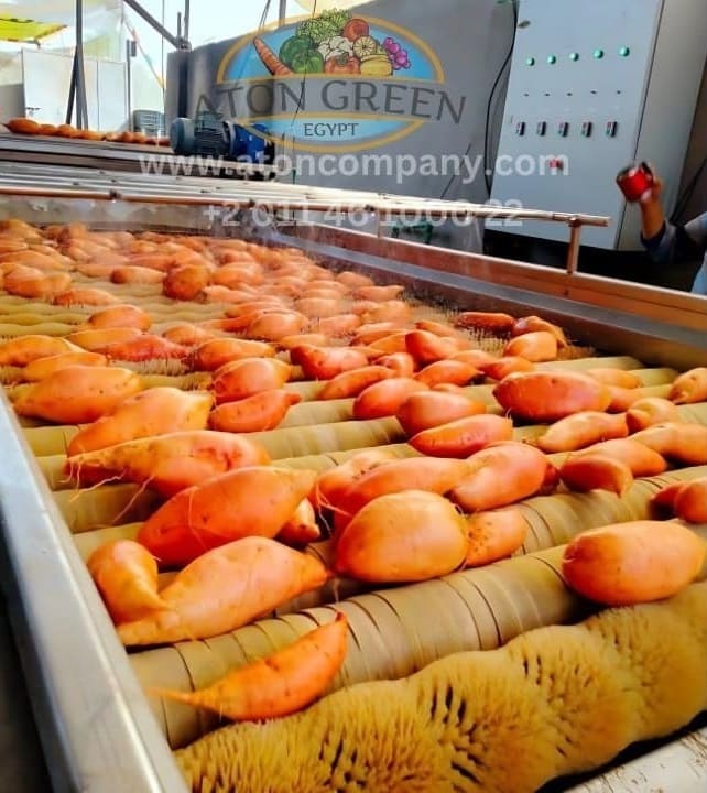 Aton Green Egypt Fresh Fruits & Vegetables